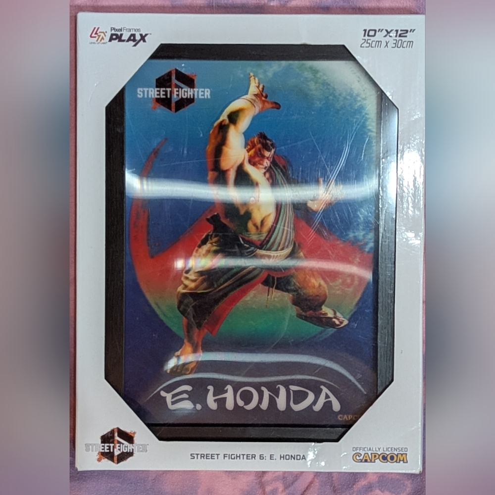 Street Fighter Framed Art Lenticular E. Honda Capcom wall decor gamer Retro 80s